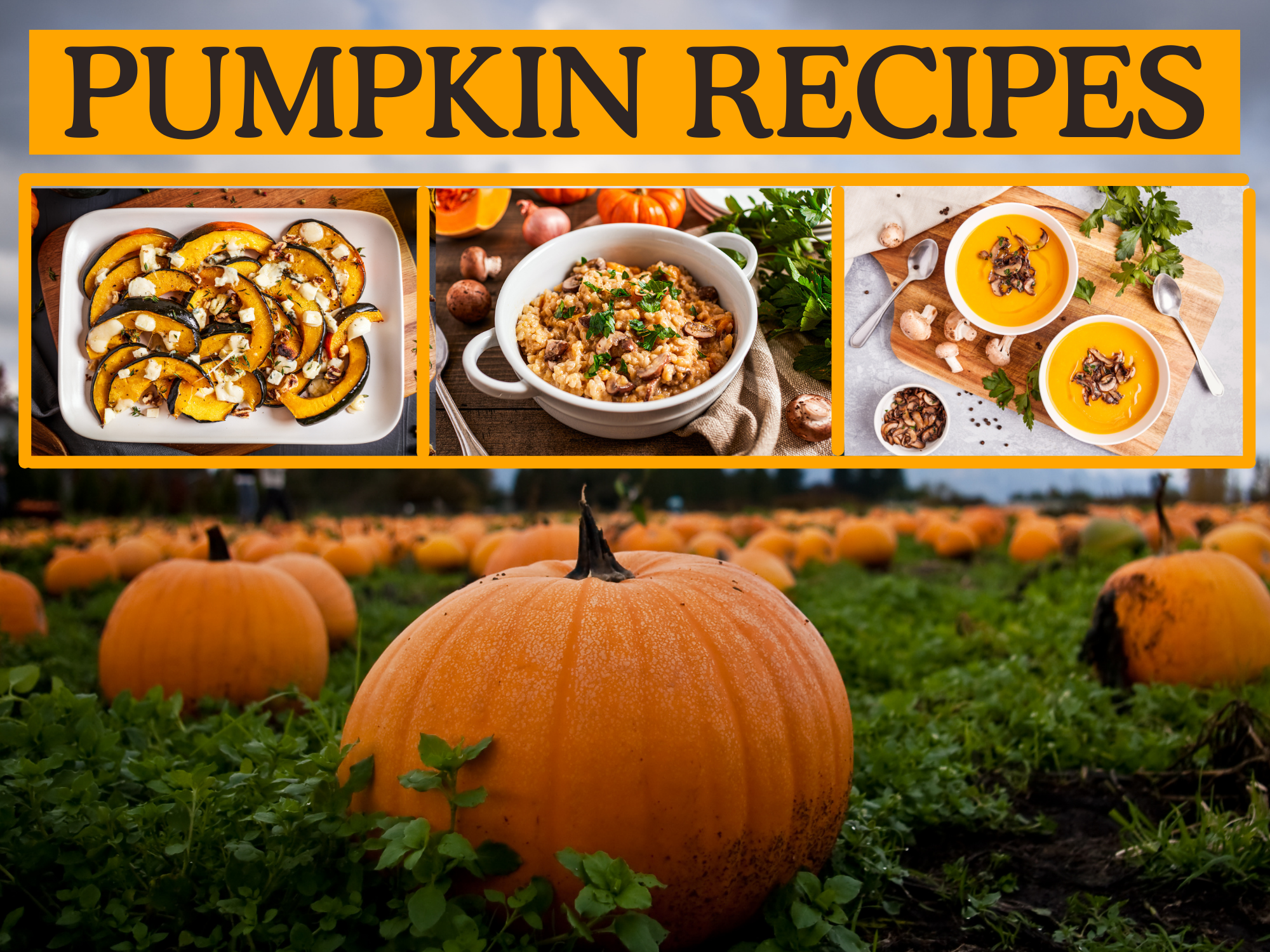 Pumpkin recipes